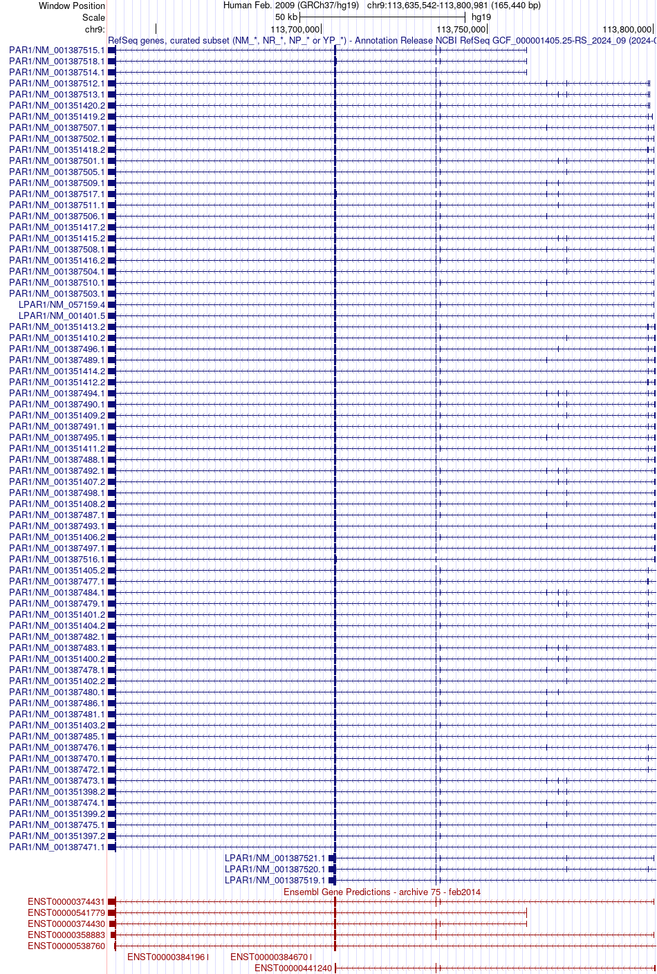 gene isoform structure of LPAR1