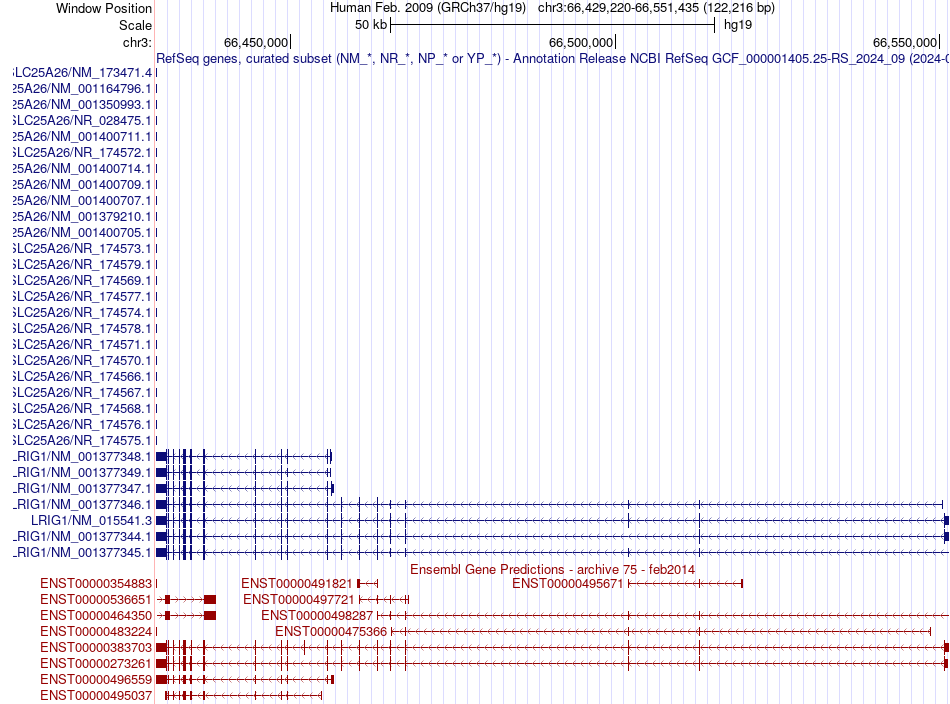 gene isoform structure of LRIG1
