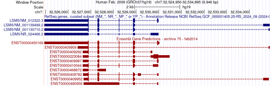 gene isoform structure of LSM5