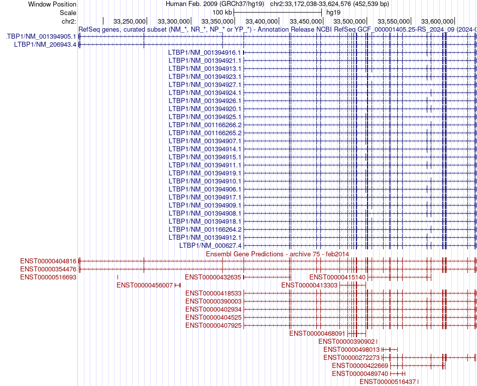 gene isoform structure of LTBP1
