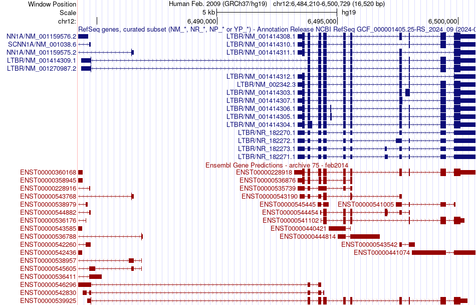 gene isoform structure of LTBR