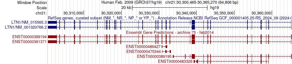 gene isoform structure of LTN1