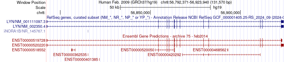 gene isoform structure of LYN
