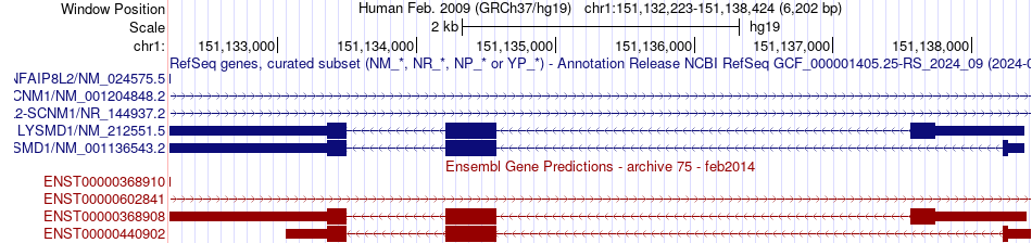 gene isoform structure of LYSMD1