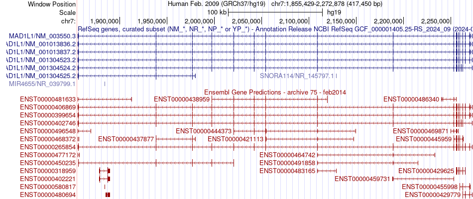 gene isoform structure of MAD1L1