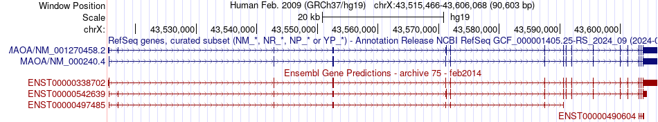 gene isoform structure of MAOA