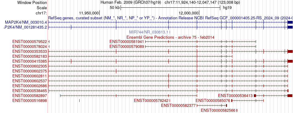 gene isoform structure of MAP2K4
