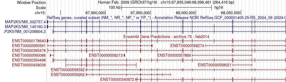gene isoform structure of MAP2K5