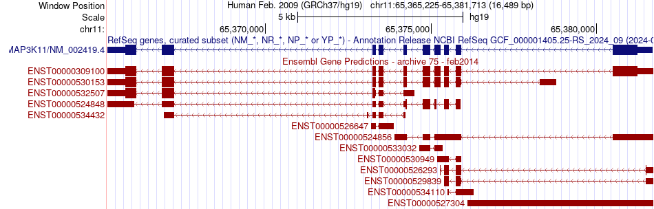 gene isoform structure of MAP3K11