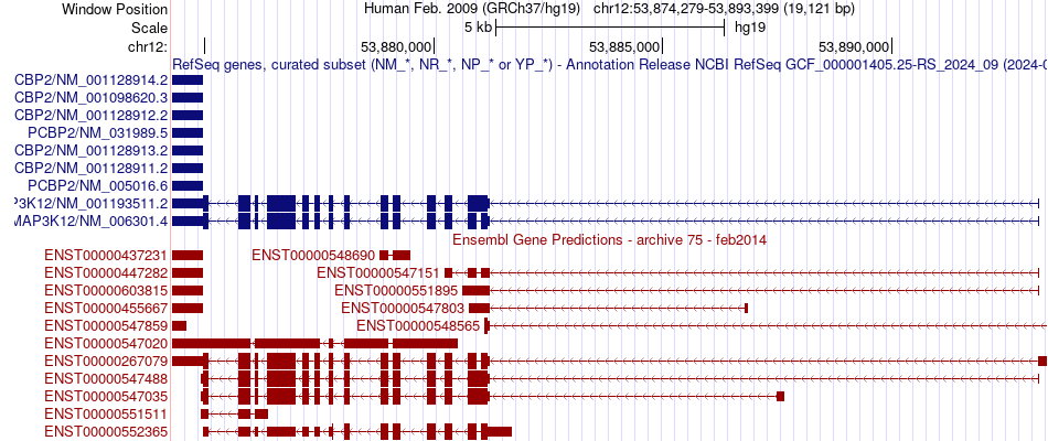 gene isoform structure of MAP3K12