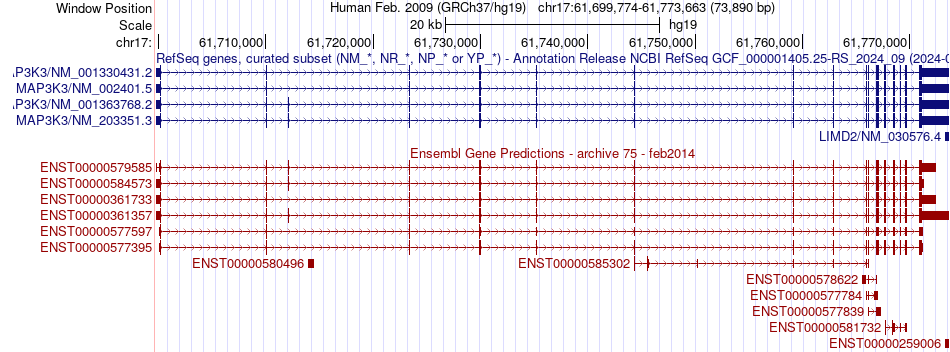 gene isoform structure of MAP3K3