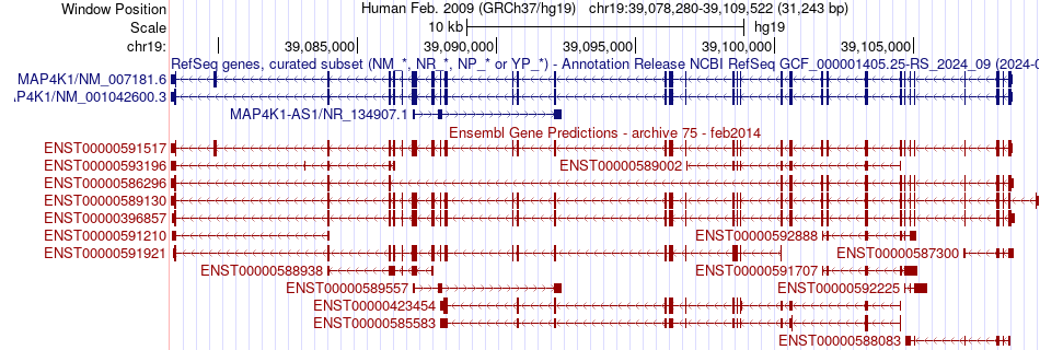 gene isoform structure of MAP4K1