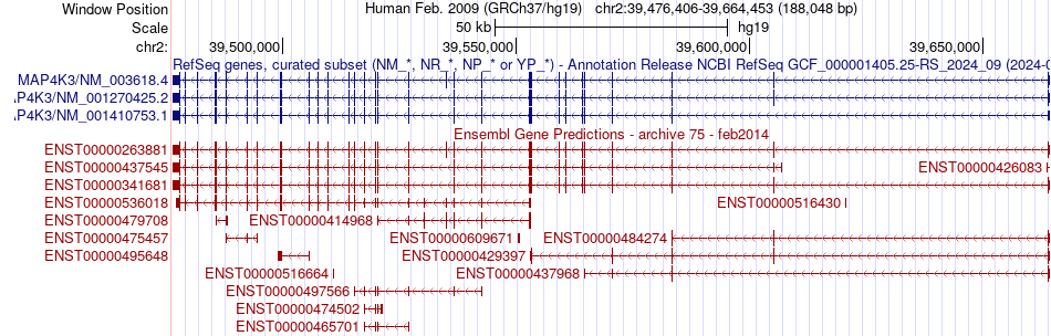 gene isoform structure of MAP4K3