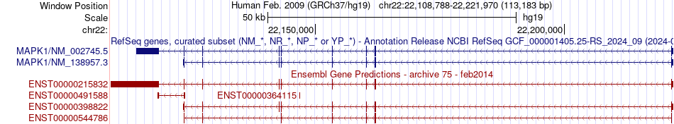 gene isoform structure of MAPK1