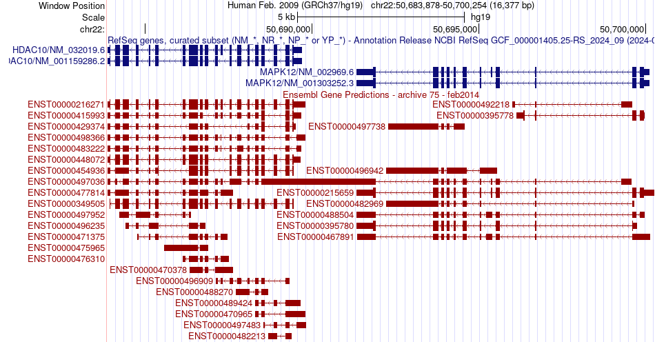 gene isoform structure of MAPK12