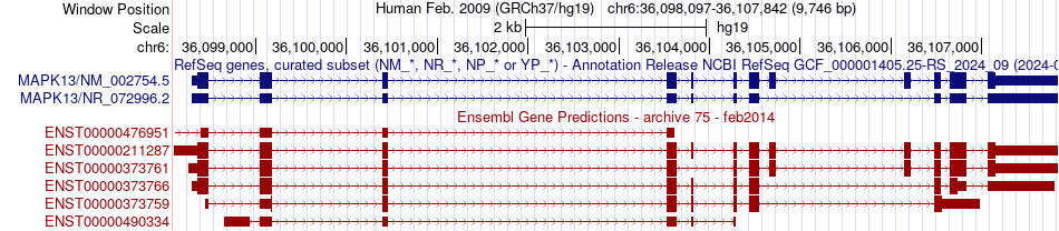 gene isoform structure of MAPK13