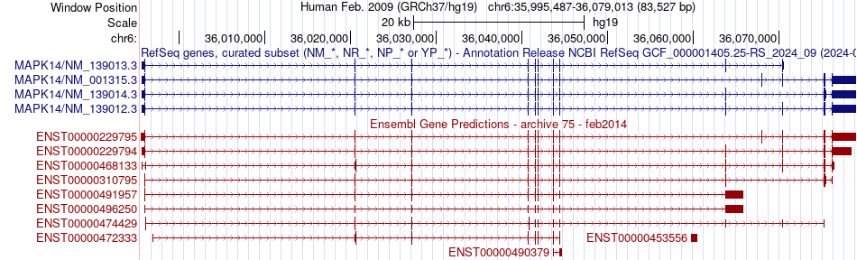 gene isoform structure of MAPK14