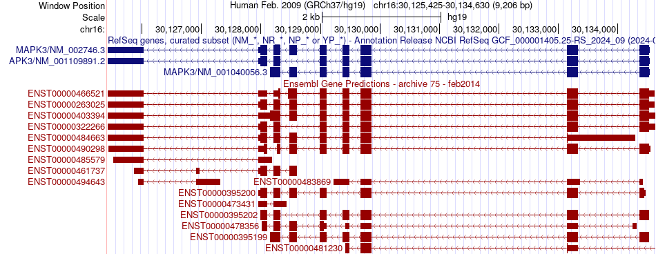 gene isoform structure of MAPK3