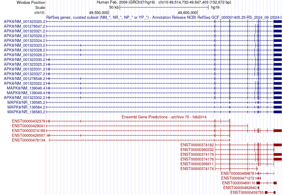 gene isoform structure of MAPK8