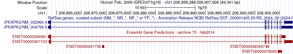 gene isoform structure of MAPKAPK2