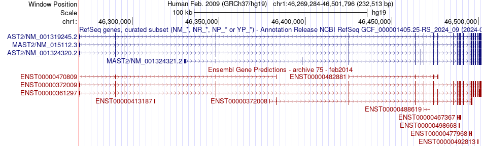 gene isoform structure of MAST2