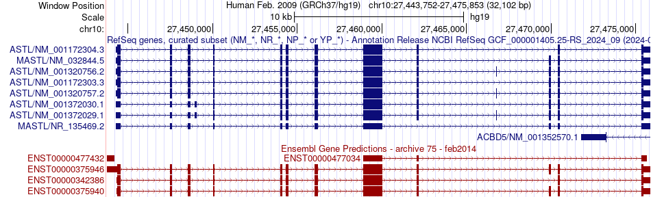 gene isoform structure of MASTL