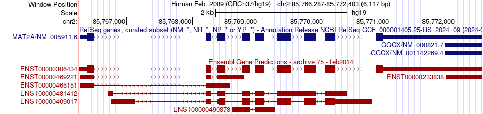 gene isoform structure of MAT2A