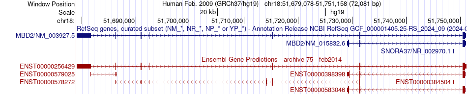 gene isoform structure of MBD2