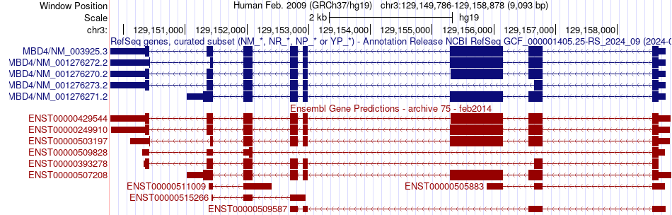 gene isoform structure of MBD4