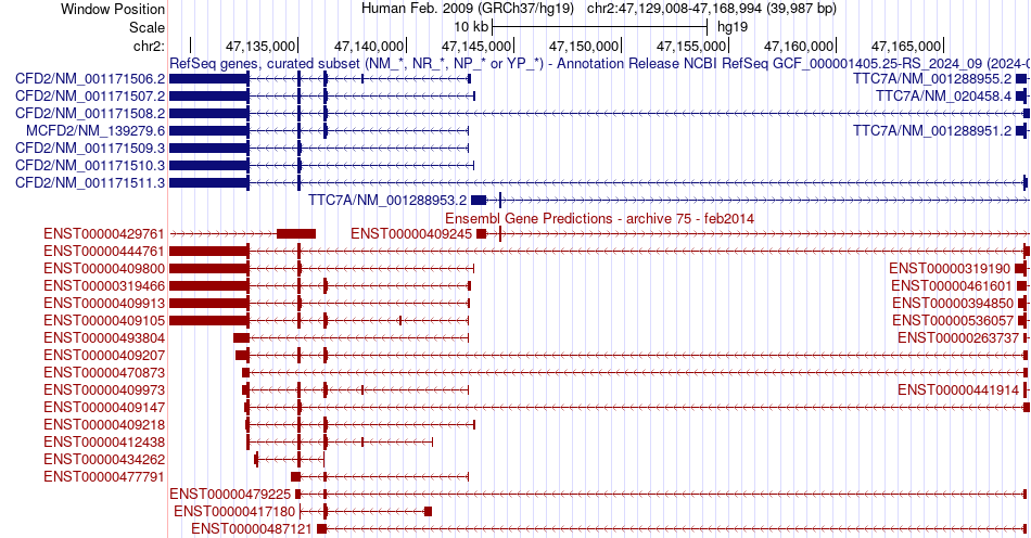 gene isoform structure of MCFD2