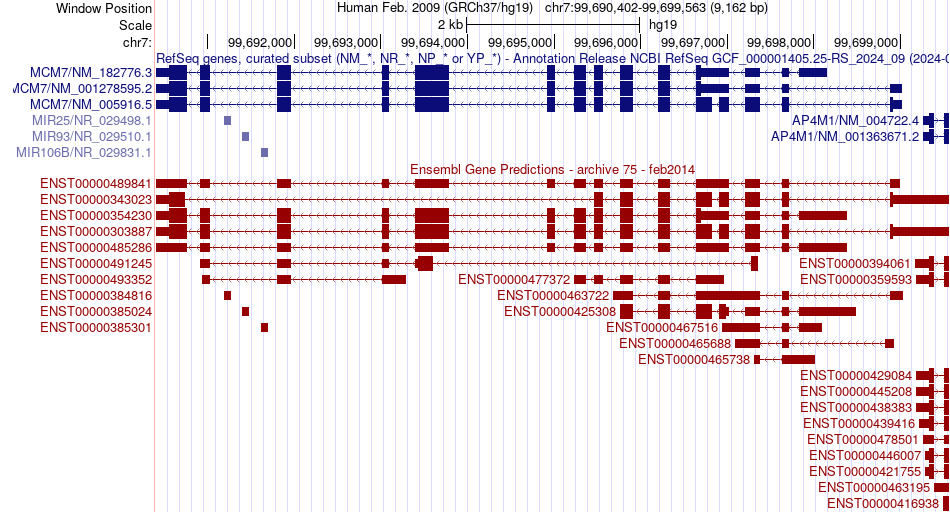 gene isoform structure of MCM7