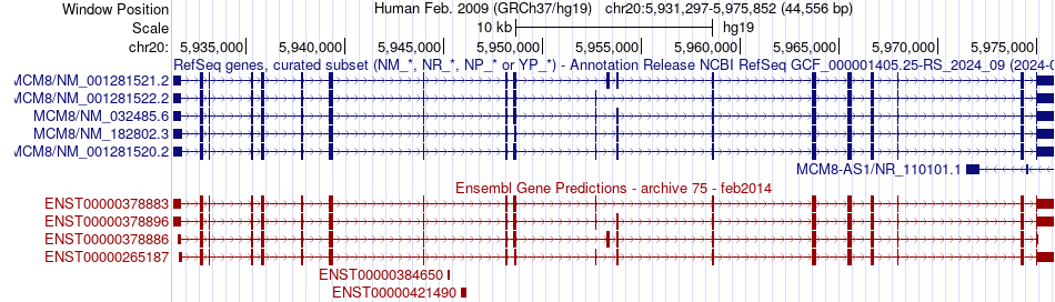 gene isoform structure of MCM8