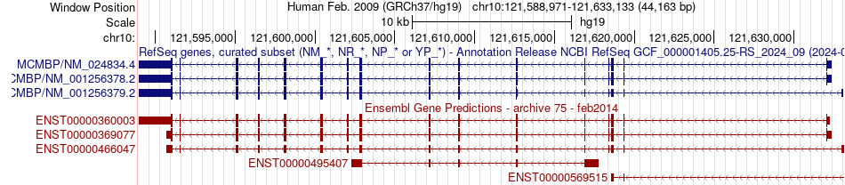 gene isoform structure of MCMBP