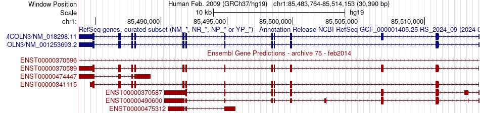 gene isoform structure of MCOLN3