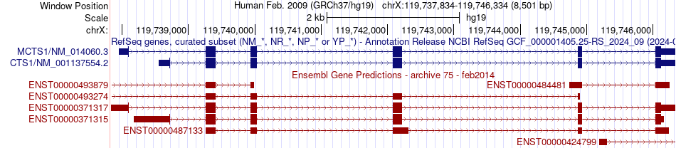 gene isoform structure of MCTS1
