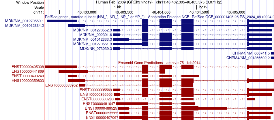 gene isoform structure of MDK