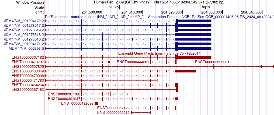 gene isoform structure of MDM4
