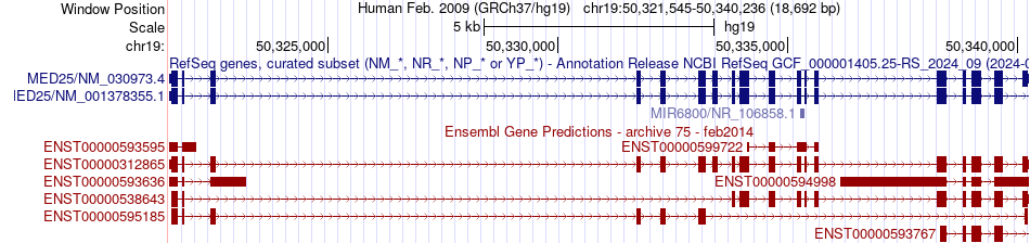 gene isoform structure of MED25