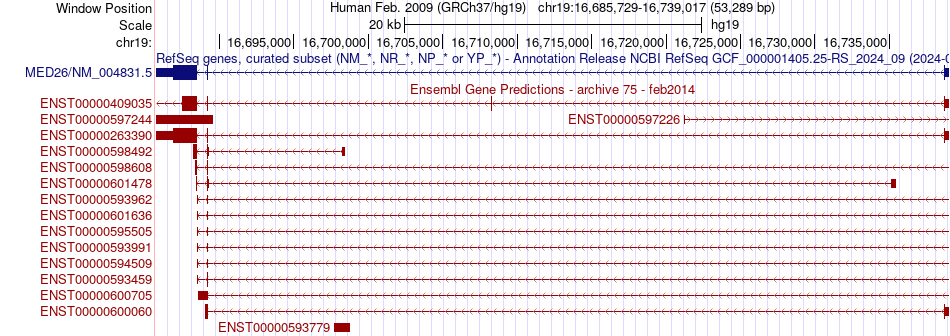 gene isoform structure of MED26