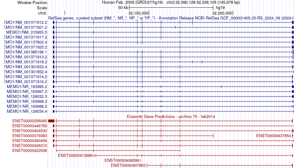 gene isoform structure of MEMO1