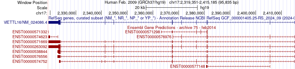 gene isoform structure of METTL16