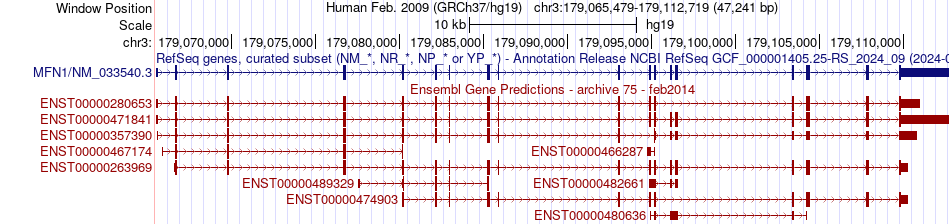 gene isoform structure of MFN1