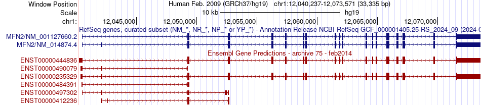 gene isoform structure of MFN2