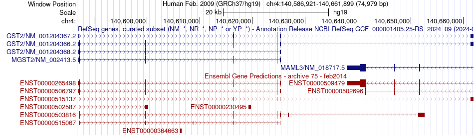 gene isoform structure of MGST2