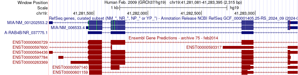 gene isoform structure of MIA