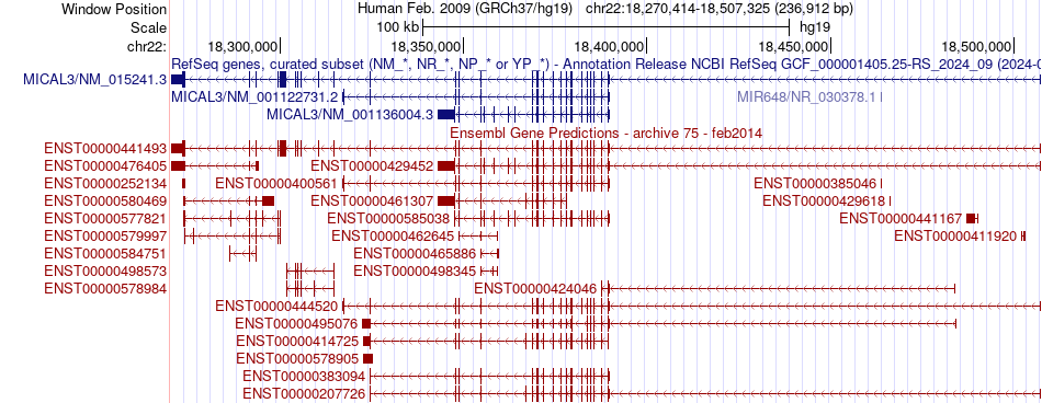 gene isoform structure of MICAL3