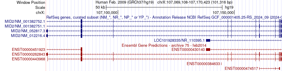 gene isoform structure of MID2
