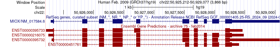 gene isoform structure of MIOX