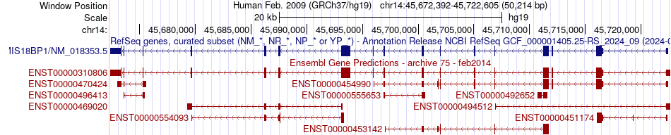 gene isoform structure of MIS18BP1