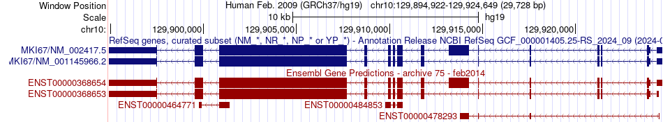 gene isoform structure of MKI67